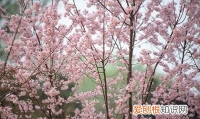 平分春色什么意思,骚人搁笔费评章的上一句是什么?