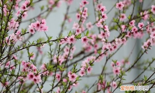 平分春色什么意思,骚人搁笔费评章的上一句是什么?