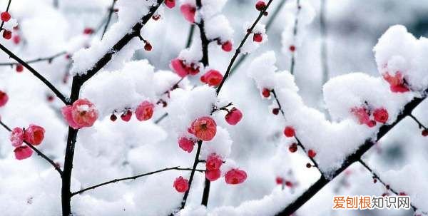 平分春色什么意思,骚人搁笔费评章的上一句是什么?