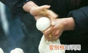 绿豆糍粑的做法，绿豆粑怎么保存