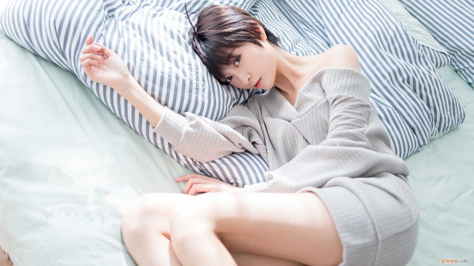 相约到白头是什么歌 我们相约白头