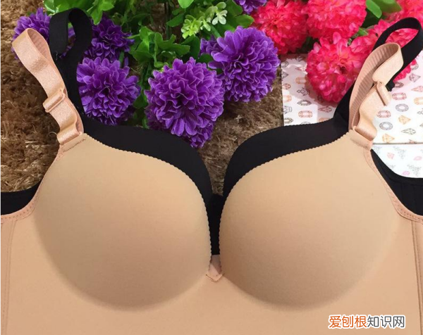 调整型内衣和聚拢型的区别 调整型内衣和聚拢型的区别有哪些