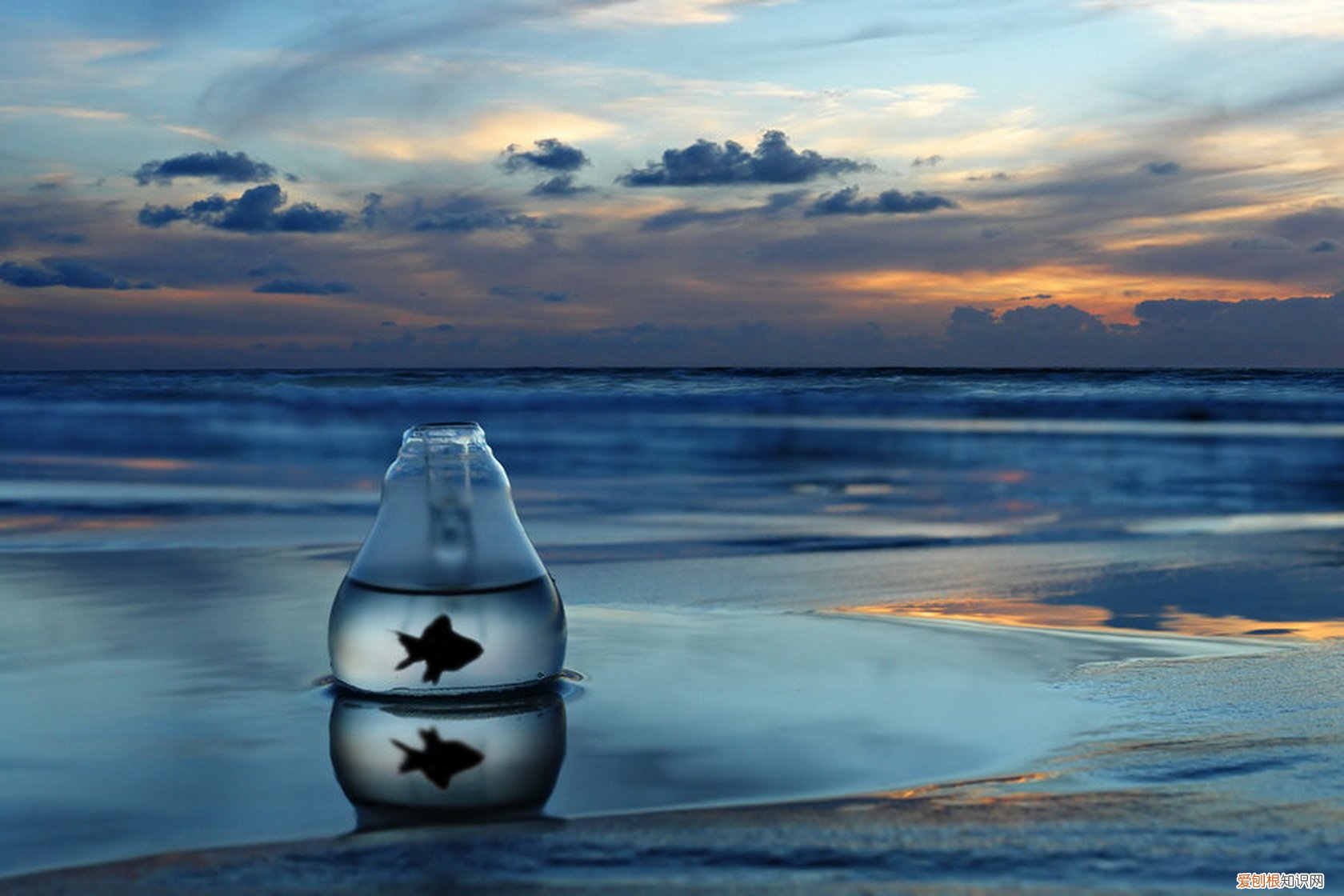 河南厉害的老中医，河南省著名老中医排名