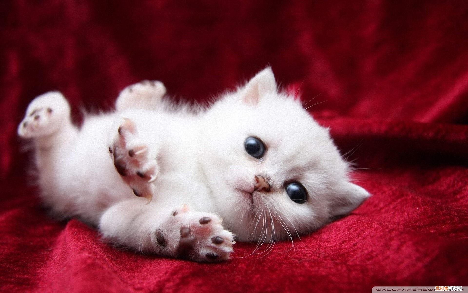 是可以组什么词语,走可以组什么词语