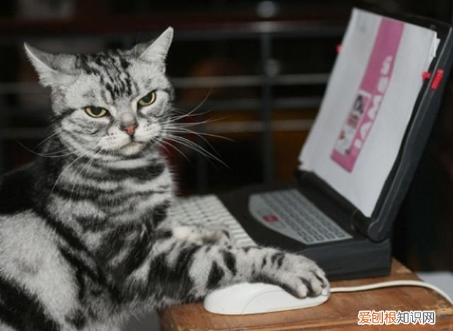 最近有什么重要新闻，国内重要新闻