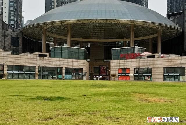 真我x7pro与红米k30u拍照哪个好