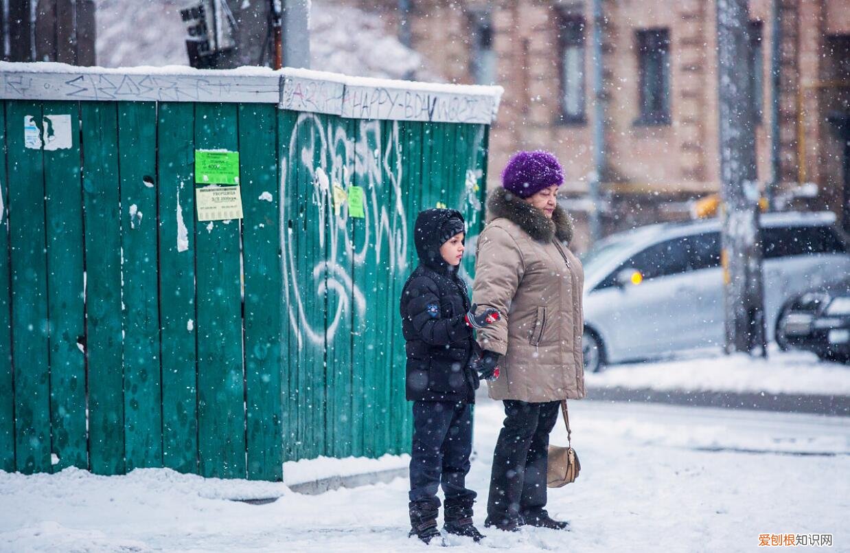 全世界乌克兰族有多少人口呢? 乌克兰多少人