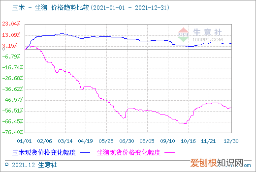 猪价多少钱有利润,21年年底猪价预测
