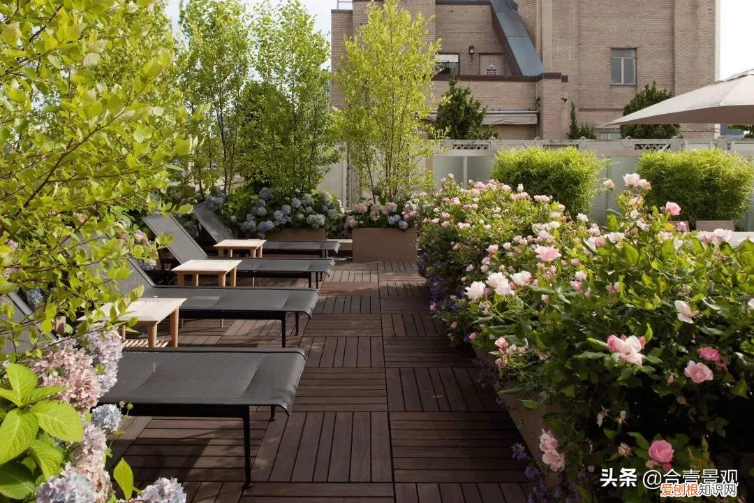 屋顶花园设计效果图屋顶花园图片 屋顶花园设计实景效果图