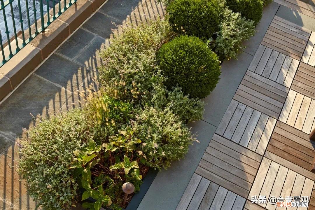 屋顶花园设计效果图屋顶花园图片 屋顶花园设计实景效果图