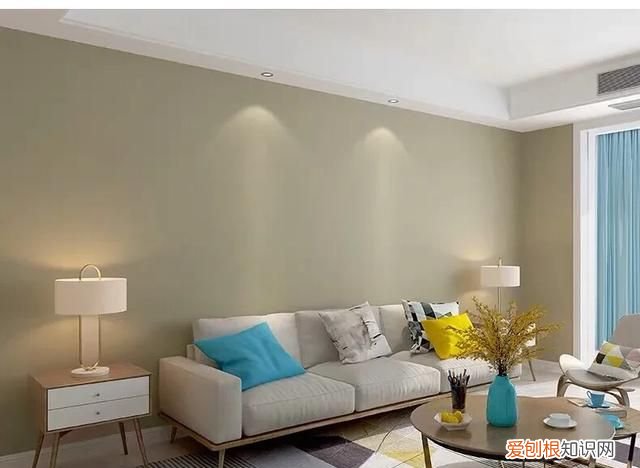 墙布如何挑选 墙布如何挑选,墙布选净面的好还是带绣花的好