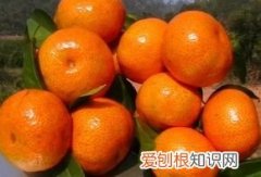 橙子和西瓜一起吃会拉肚子 橙子和西瓜一起吃会不会拉肚子