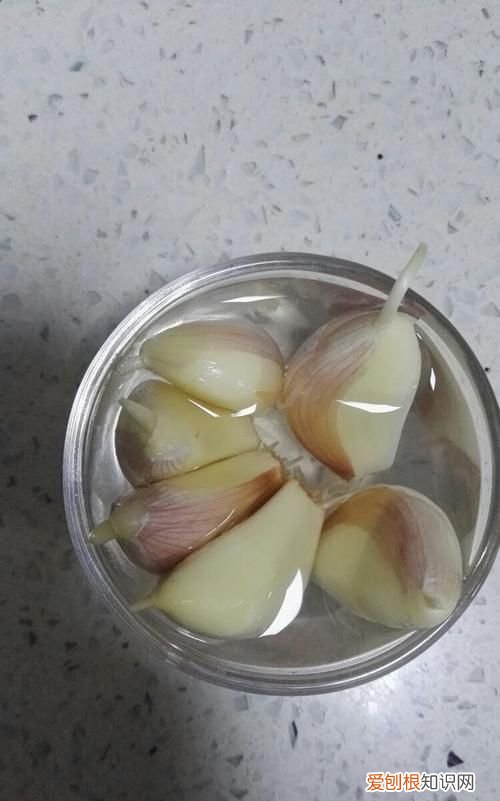 在水里种大蒜多长时间换次水 在水里种大蒜多久换次水