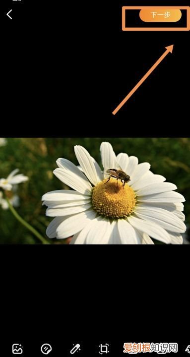 微博怎么发作品,微博怎么发动态