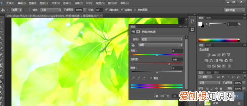 用ps如何调大小，怎样在ps里面改图的大小尺寸