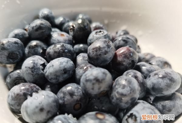 蓝莓移栽如何修剪摘心，蓝莓树如何修剪 蓝莓树怎么修剪