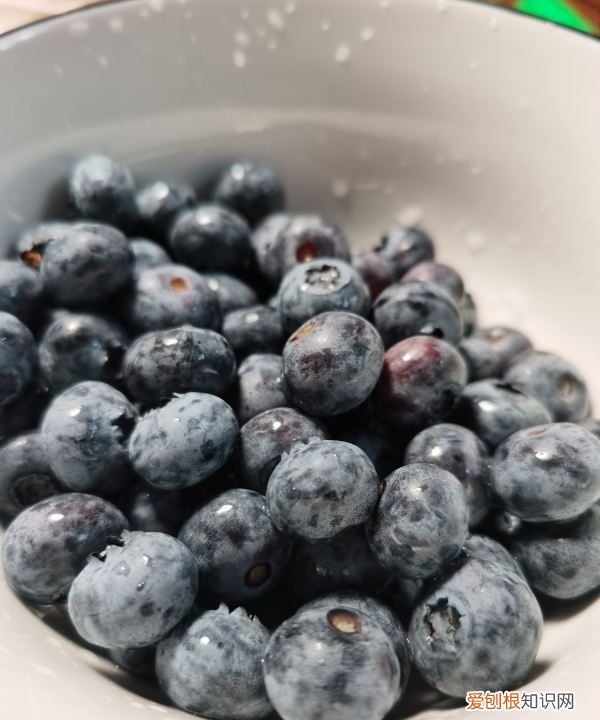 蓝莓移栽如何修剪摘心，蓝莓树如何修剪 蓝莓树怎么修剪