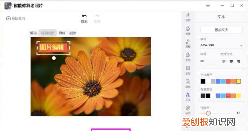 在一张上怎么编辑文字,如何修改图片上的文字内容