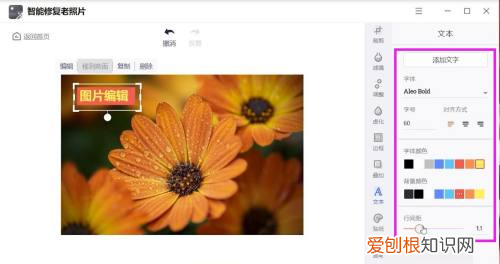 在一张上怎么编辑文字,如何修改图片上的文字内容