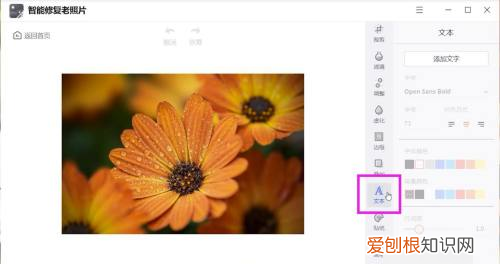在一张上怎么编辑文字,如何修改图片上的文字内容