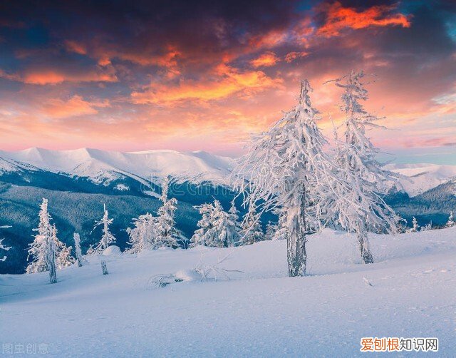 不要低估他们隐藏的能力 摩羯座男孩的性格特征