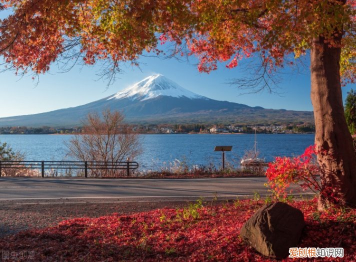 不要低估他们隐藏的能力 摩羯座男孩的性格特征