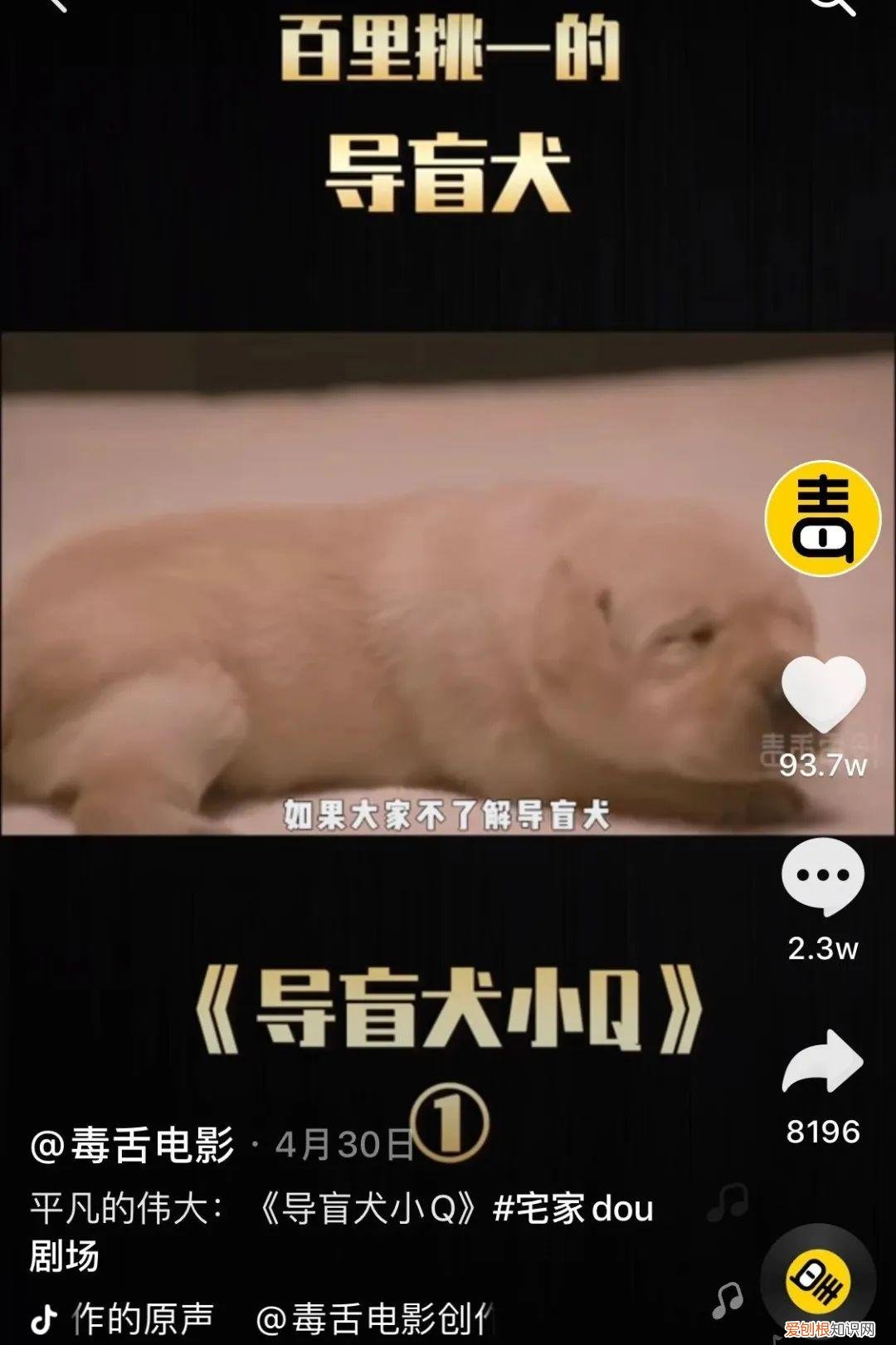 吸引人的影视剪辑头像 吸引人的影视剪辑简介