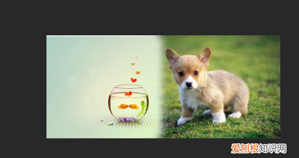 ps该怎么样消除拼接痕迹，ps怎么消除拼接痕迹用羽化