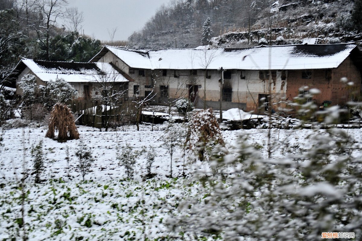 哪个国家死后不用火化，土葬后政府有权扒坟吗