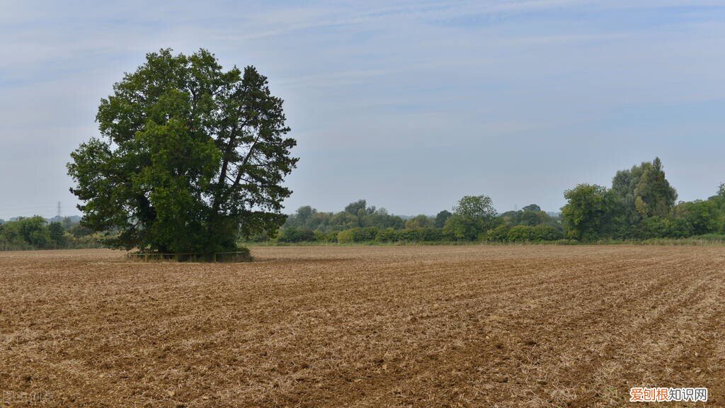 哪个国家死后不用火化，现在偷偷土葬算犯法吗
