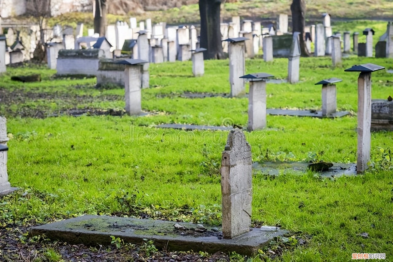 哪个国家死后不用火化,现在偷偷土葬算犯法吗