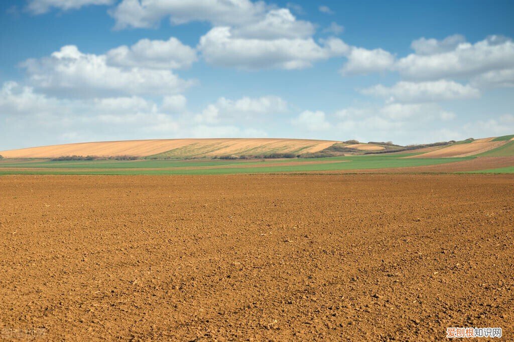 哪个国家死后不用火化,现在偷偷土葬算犯法吗