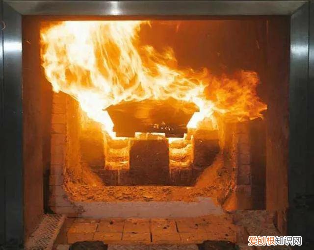 哪个国家死后不用火化，人死后国家强制火化吗