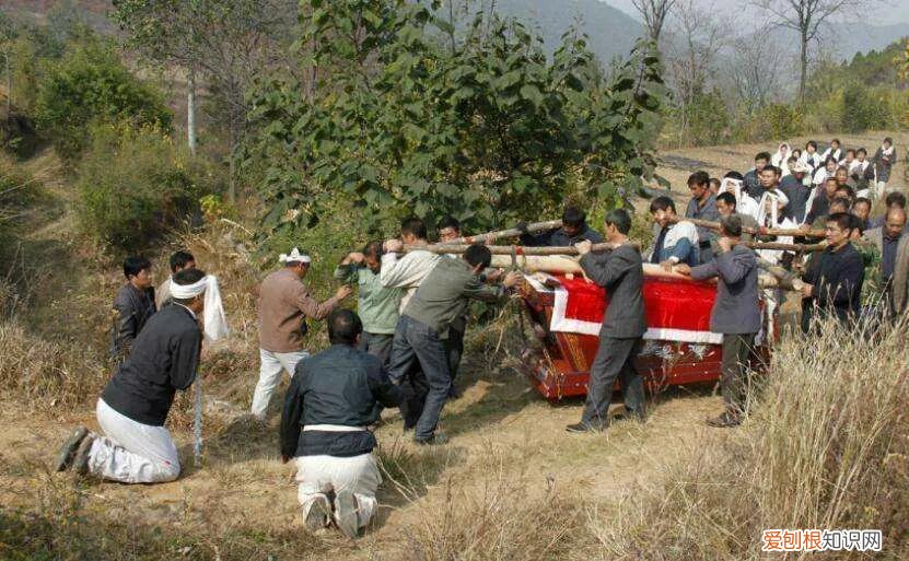 哪个国家死后不用火化，人死后国家强制火化吗