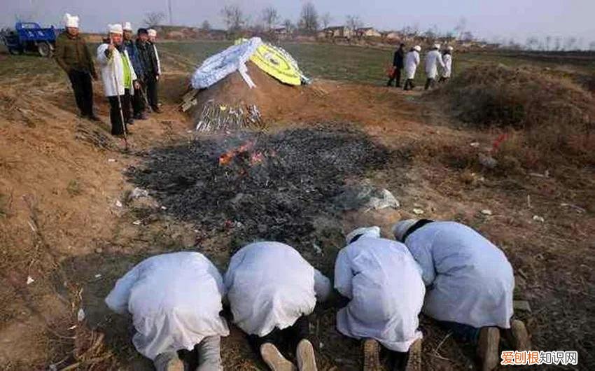 哪个国家死后不用火化，人死后国家强制火化吗