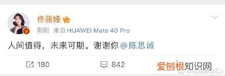 深扒陈思诚婚变真相 陈思诚把老婆送给哪个大佬了