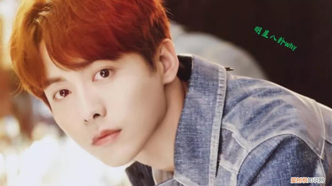 马天宇老婆叫什么名?附:马天宇的身世经历