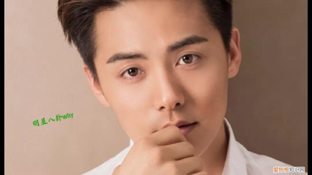 马天宇老婆叫什么名?附:马天宇的身世经历