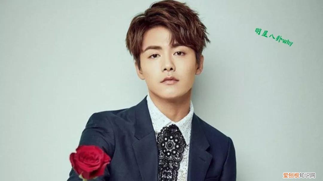 马天宇老婆叫什么名?附:马天宇的身世经历