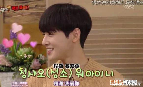 韩网评论程潇和车银优，圈内有人追程潇吗