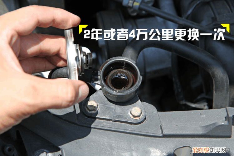 汽车防冻液,4s店换防冻液多少钱