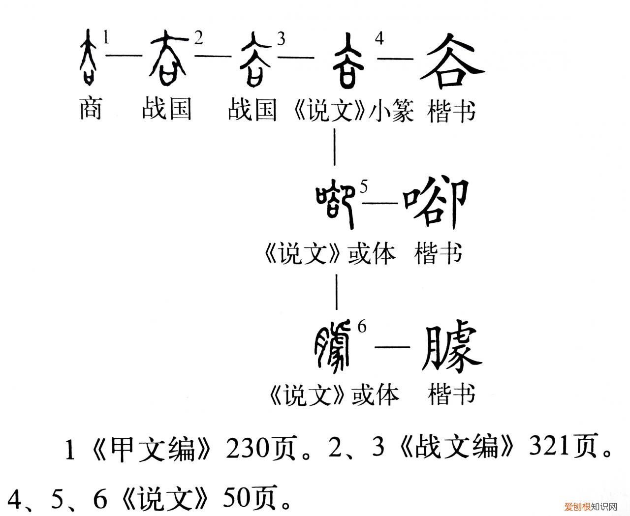 只得的拼音，只得读音为什么不是的