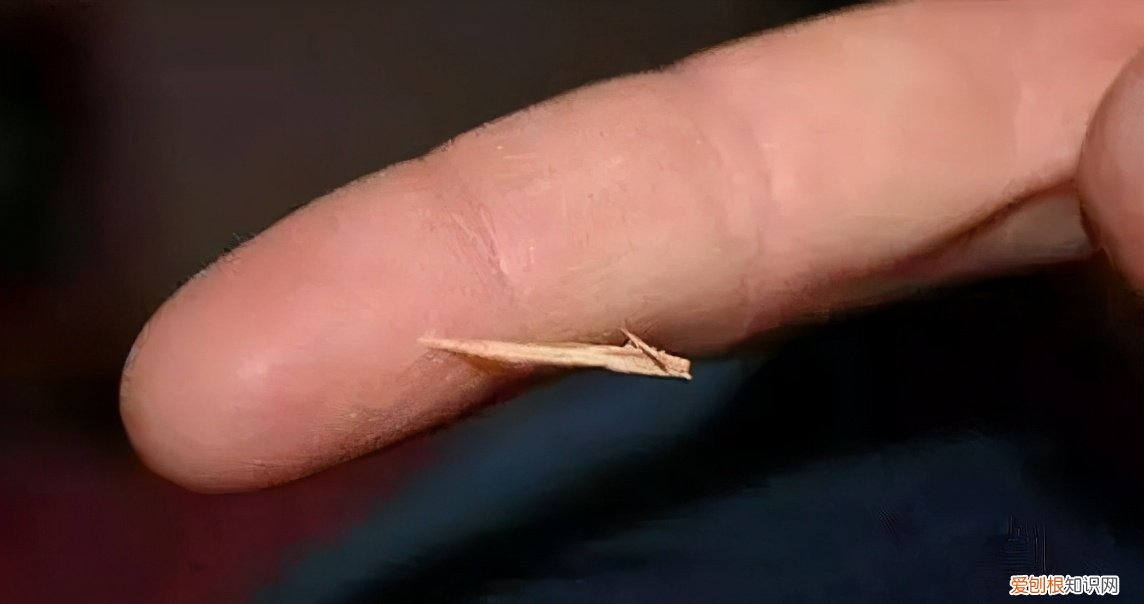 只得的拼音,只得读音为什么不是的