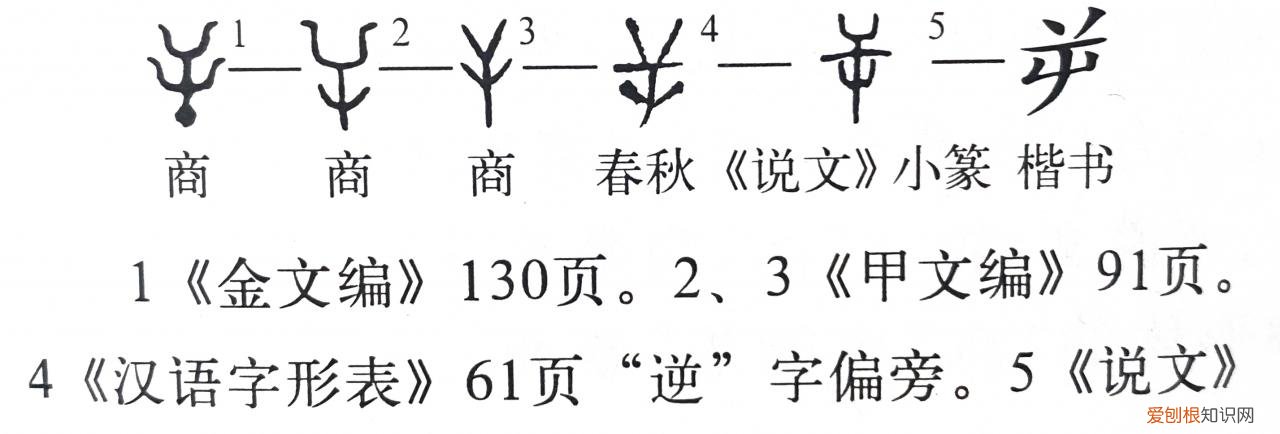 只得的拼音,只得读音为什么不是的