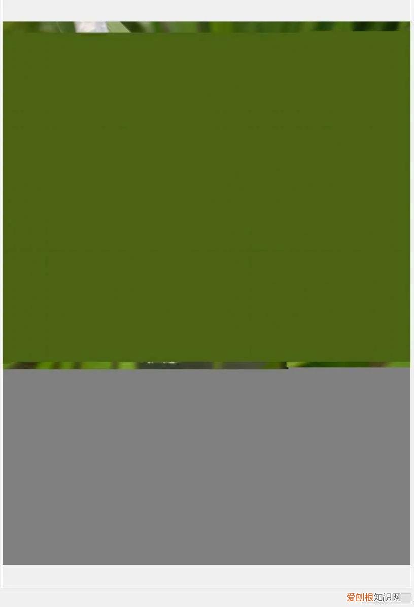 删除的数据恢复软件有免费的吗?这款数据恢复软件,免费还好用