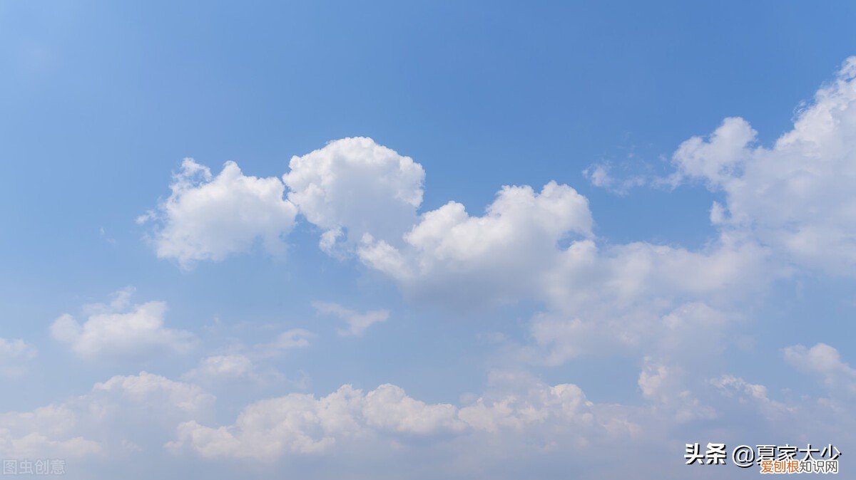 李嘉图比较成本理论的主要内容,新贸易理论