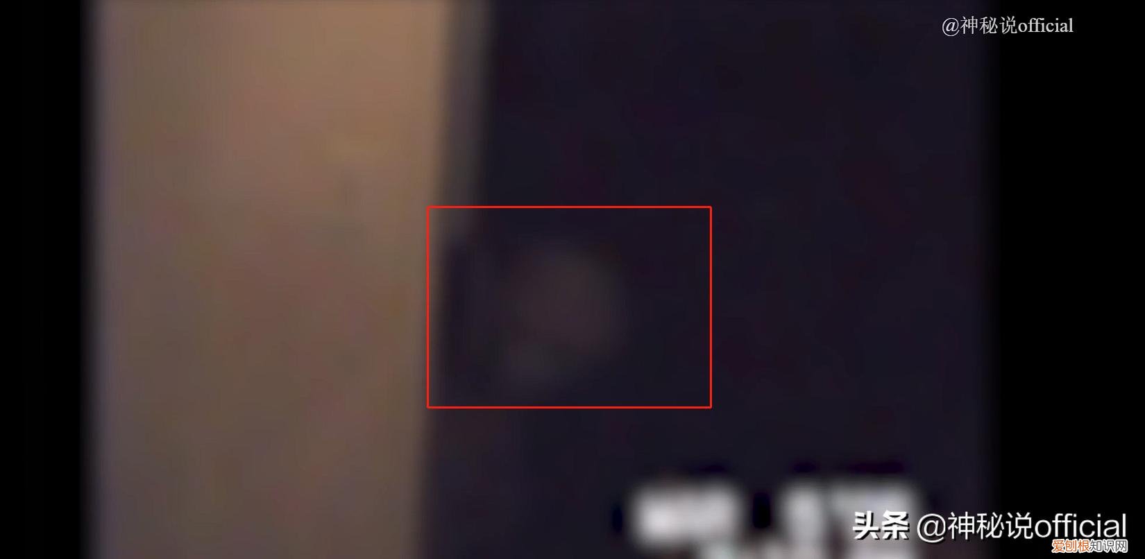 国外男子拍到外星人全貌?7个外星人真实图片