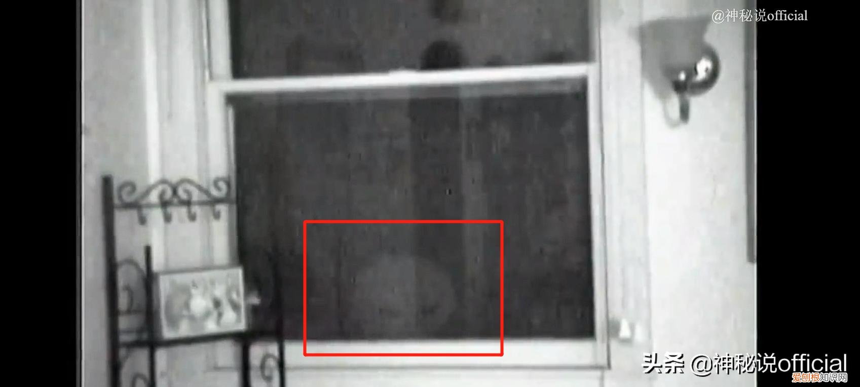 国外男子拍到外星人全貌?7个外星人真实图片