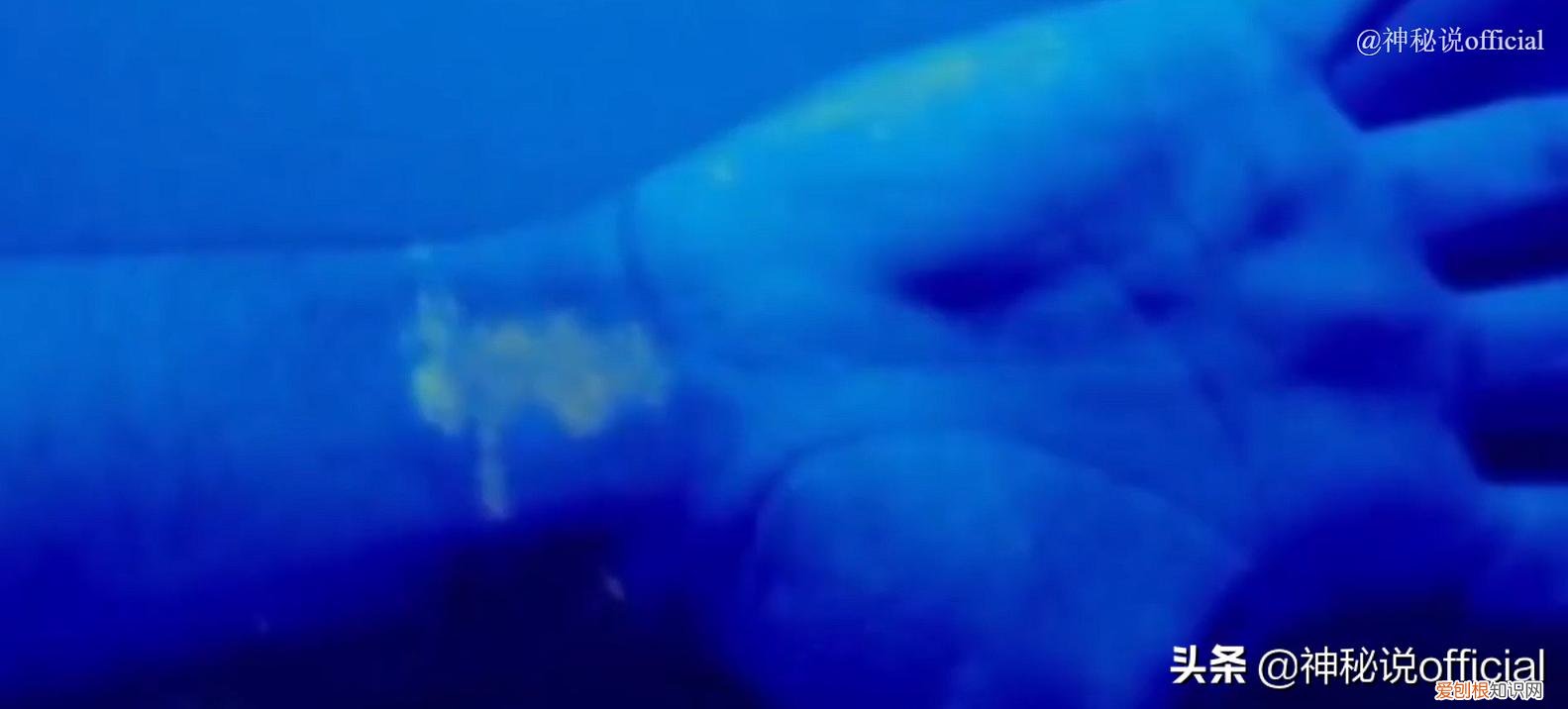 国外男子拍到外星人全貌?7个外星人真实图片