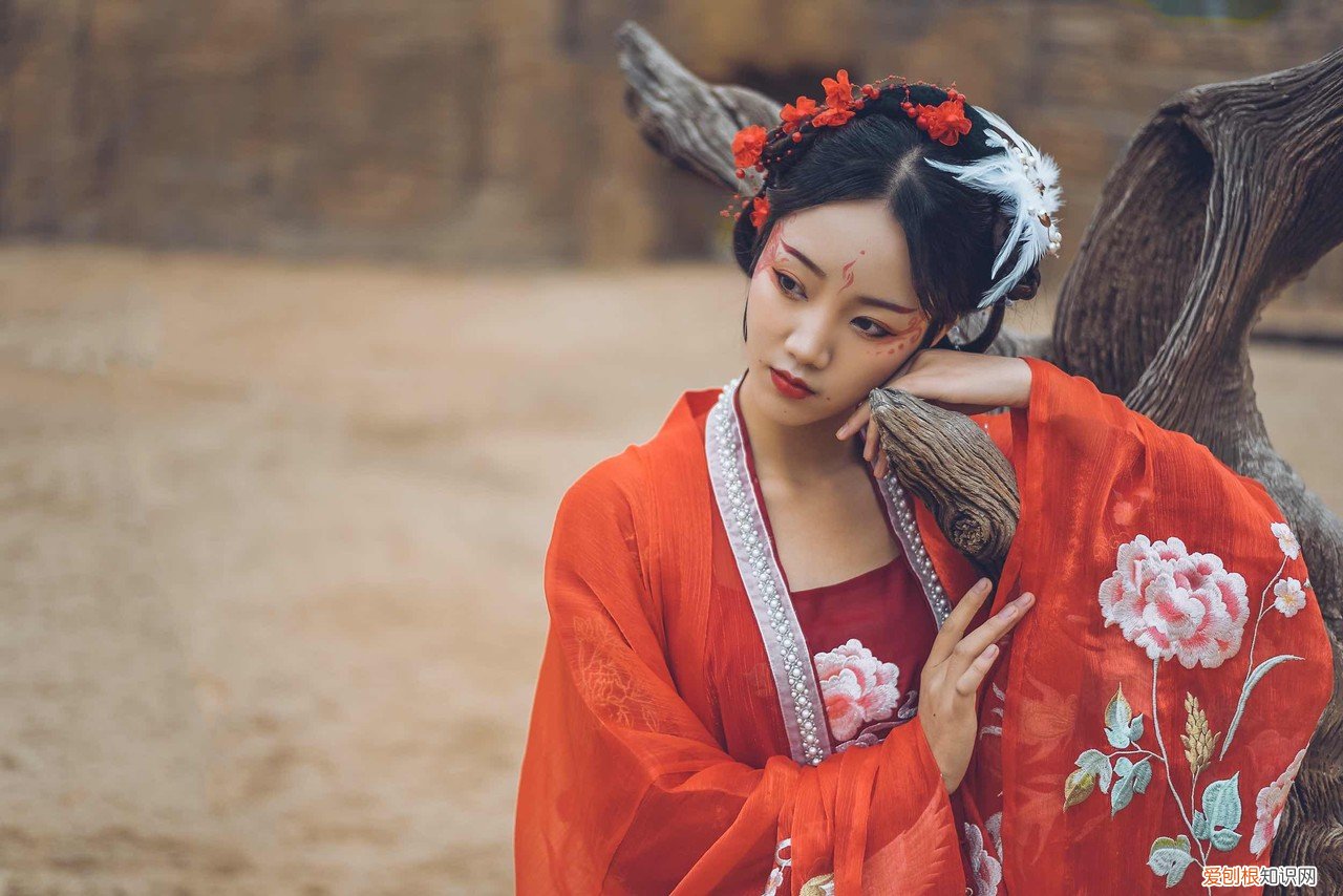 从饕鬄开始吞噬进化txt下载，从饕餮开始变强